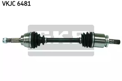 SKF VKJC 6481